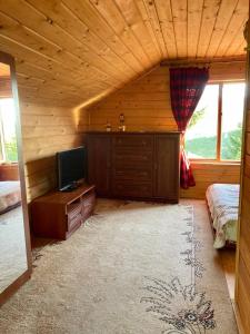 斯拉夫西克Villa nagori的小屋内带床和电视的房间