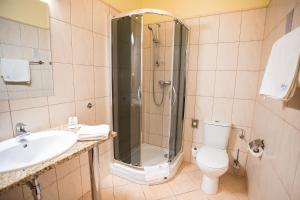 弗罗茨瓦夫弗罗茨瓦夫维加商务酒店的带淋浴、卫生间和盥洗盆的浴室