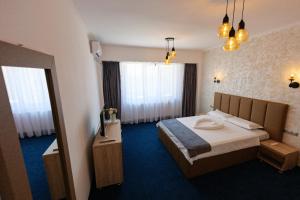 德罗贝塔-塞维林堡Hotel Villa Ovidiu的一间酒店客房 - 带一张床和一间浴室