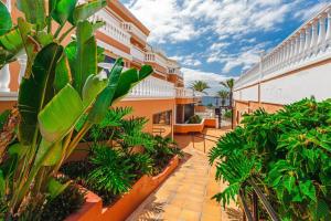 美洲海滩Tenerife Royal Gardens One Bedroom Apartment的一座植物和树木繁茂的建筑的阳台