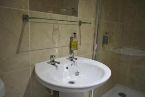 Stallingborough斯塔灵波勒农庄酒店的带淋浴的浴室内的白色水槽