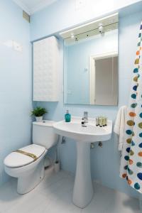穆特里库Portua - Baskey Rentals的一间带卫生间、水槽和镜子的浴室