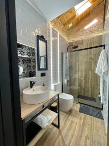萨莫拉LA CASITA的一间带水槽、卫生间和淋浴的浴室