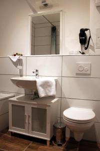包岑Pension Budissin的一间带水槽、卫生间和镜子的浴室