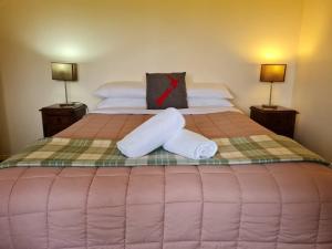 特威泽尔The Cabin, Omahau Downs的一张带两个枕头的床和两盏灯