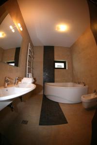 普雷代亚尔Timis Valley, Casa Eni&Dan的大型浴室设有两个盥洗盆和浴缸。