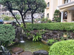 台北美代温泉饭店 的花园中的池塘,花园内有瀑布和树木