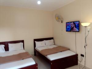 金贾Royal Park Hotel的客房设有两张床和一台墙上的电视。