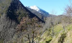 BoutxCabane dans un pommier的山地的雪覆盖着树木