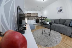 诺维萨德Apartment DobraYa Grey的一间带电视和沙发的客厅