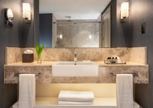 Elexus Hotel Resort & Spa & Casino的一间浴室