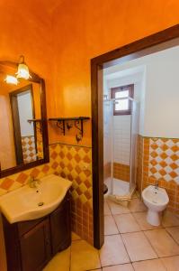 托尔托利La Pavoncella的一间带水槽和卫生间的浴室