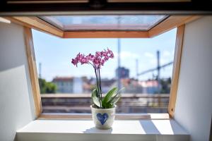 布拉迪斯拉发Villa Bea的花瓶里坐在窗台上的花