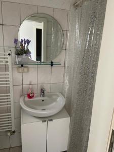 DargunFerienhaus Rohde - Dargun am Waldeck的一间带水槽、镜子和淋浴的浴室