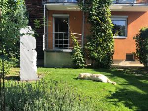Sankt Paul im LavanttalMILLIEs hosting - Familienurlaub mit Hund in Kärnten的狗躺在房子前面的草地上