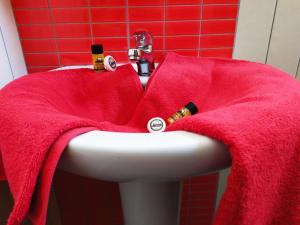 奥林匹亚基·阿克蒂Villa Irida Sun的浴室设有水槽上的红色毛巾