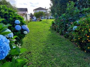 ArrifesArrivillage的花园中一排蓝色的三角形