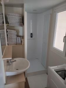 沃迪切K9 Mobile Home Camp Imperial Vodice的白色的浴室设有水槽和淋浴。