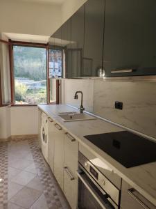 吉廖港La Casa di Principino的厨房配有水槽和台面