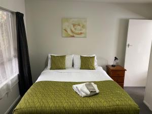基督城克兰福德汽车旅馆的一间卧室配有一张带绿毯的大床