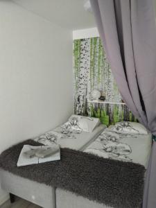 曼塔Torni-Mänttä的一间卧室配有两张床和窗帘