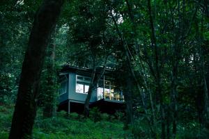 维特利Wayanad Wild - Rainforest Lodge by CGH Earth的森林中的一个树屋