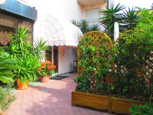 利多迪卡马约雷名誉酒店的一座种植了植物和树木的花园,一座建筑