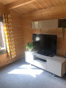 莫斯保罗Nancy's Cabin的客厅设有木墙,配有平面电视。