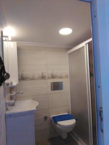 马尔马里斯Uysal Suite and Loft Seaside的一间带卫生间和水槽的小浴室