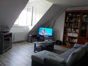 Saint-Brice-sur-VienneCHARMANT APPARTEMENT DANS MAISON DE CARACTERE的带沙发和电视的客厅