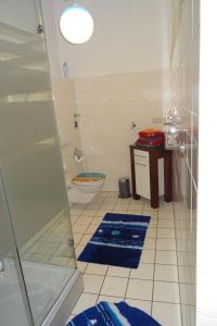 格尔利茨Müllers zweite Ferienwohnung in der Altstadt von Görlitz的带淋浴和卫生间的浴室以及蓝色地毯。