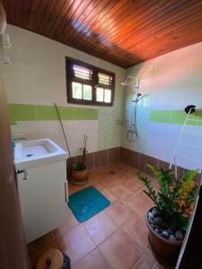 Saint-PierreThe Kapokier的一间带水槽和淋浴的浴室