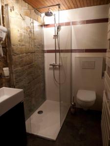 里昂魅力舒适科德利埃一室公寓的带淋浴和卫生间的浴室
