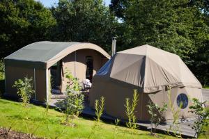 崔妮蒂达雷尔野生动物营地酒店的两个帐篷,坐在草地上