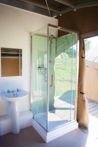 崔妮蒂达雷尔野生动物营地酒店的一间带玻璃淋浴和水槽的浴室