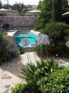 FroúrionNorth Point Rooms的紫色花卉花园中的游泳池