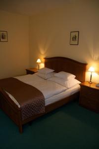 萨尔瓦尔Platán Hotel的一间卧室配有一张大床、两个床头柜和两盏灯。