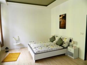 布尔诺Design apartments Brno-center的卧室配有一张床