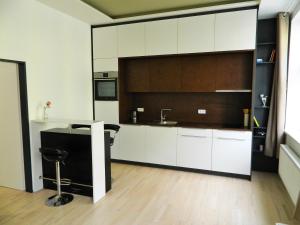 Design apartments Brno-center的厨房或小厨房