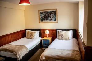 查尔德The Dolphin Hotel的小型客房配有两张单人床和灯具。