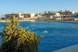 阿布达巴绿洲度假酒店的一个蓝色的游泳池以及背景建筑