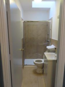 基尔肯尼Troysgate House的带淋浴、卫生间和盥洗盆的浴室