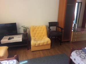 斯科普里Villa Iva的客厅配有黄色椅子和电视
