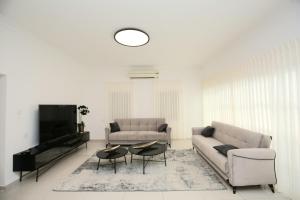 内坦亚City center luxury apartment in Netanya的客厅配有两张沙发和一台电视机