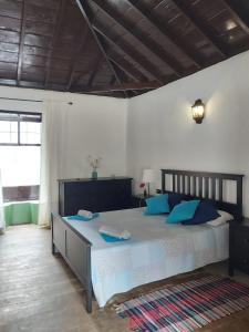 阿古洛Casa la plaza的一间卧室配有一张带蓝色枕头的大床