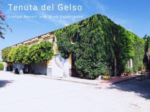 卡塔尼亚Tenuta del Gelso的街道上被绿色常春藤覆盖的建筑