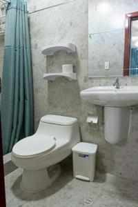 阿塔卡梅斯Hotel Andy的一间带卫生间和水槽的浴室