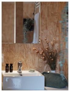 沃勒维克Volvic Organic Resort的浴室配有盥洗盆、镜子和盥洗盆