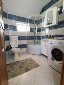 普卢日内Apartment Osmajic的一间带卫生间和洗衣机的浴室