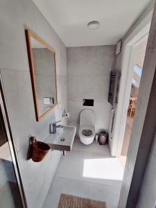 普雷拉BoHouse apartment No1的一间带卫生间、水槽和镜子的浴室